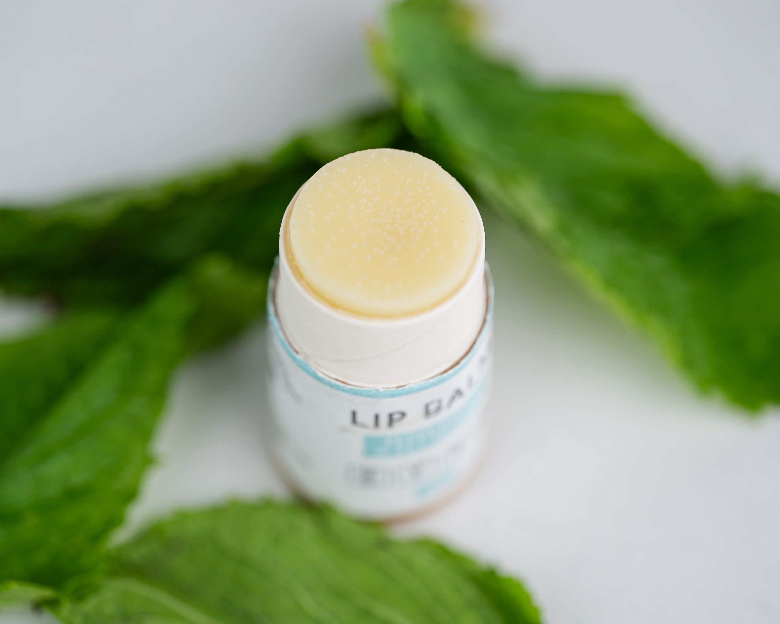 Lip Balm - Primal Health & Beauty