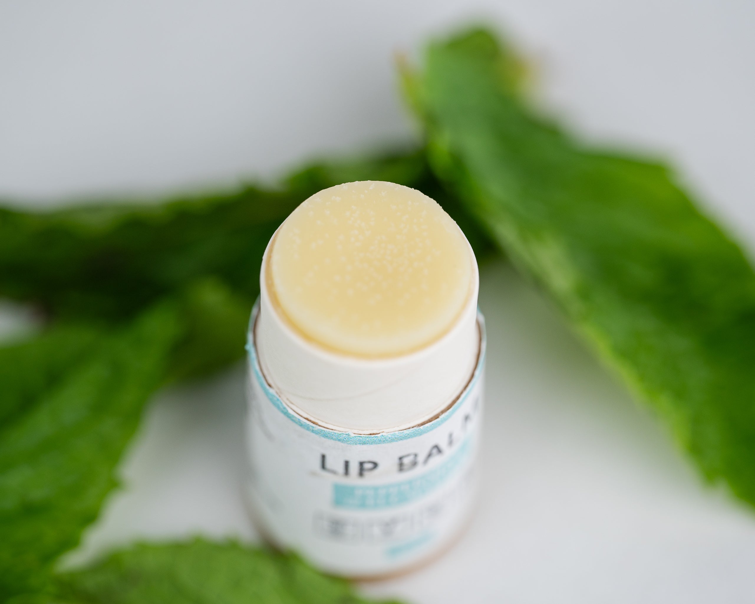 Lip Balm Bundle (5-Pack) - Primal Health & Beauty