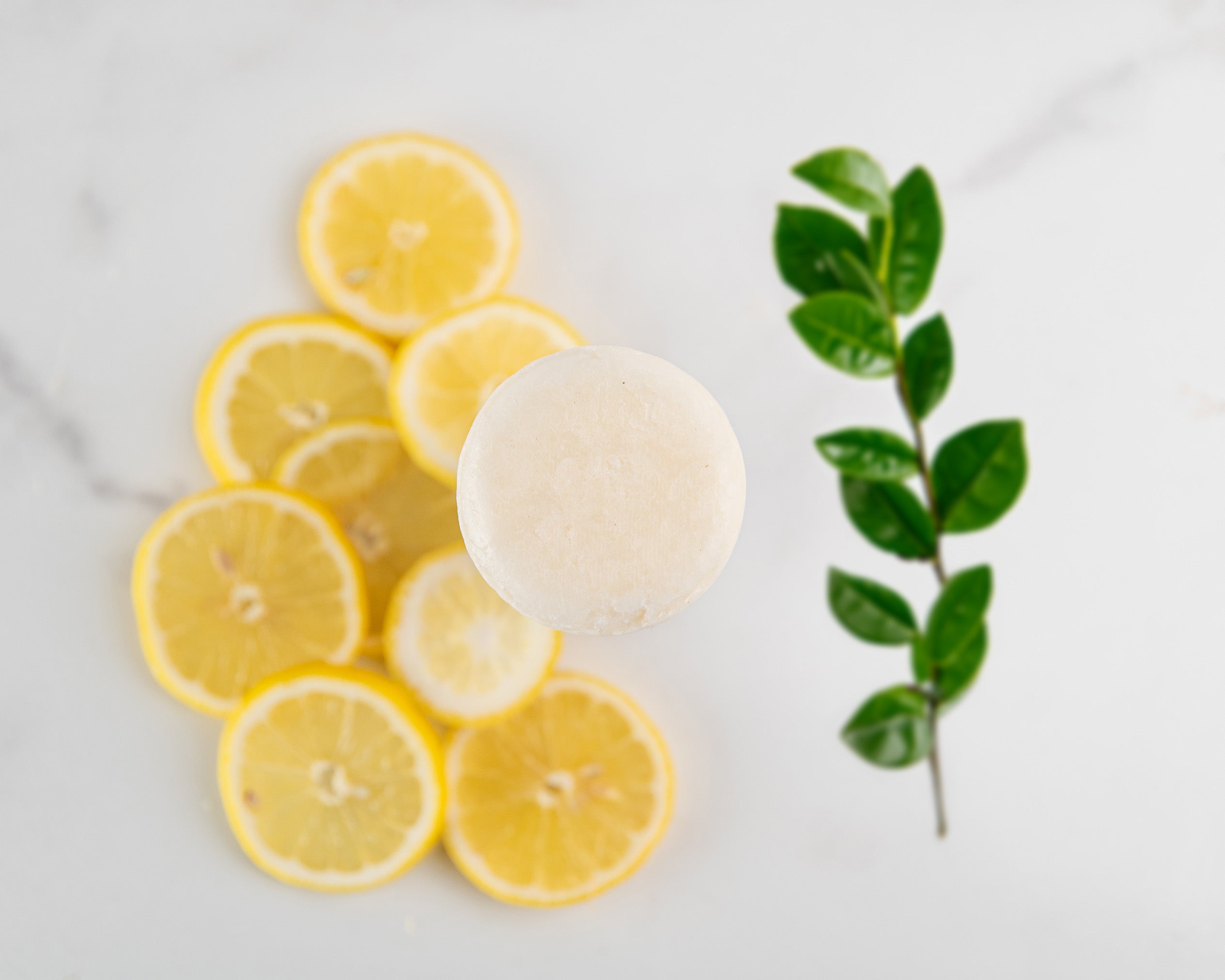 Sulfate-Free Shampoo Bar (Duo) - Primal Health & Beauty