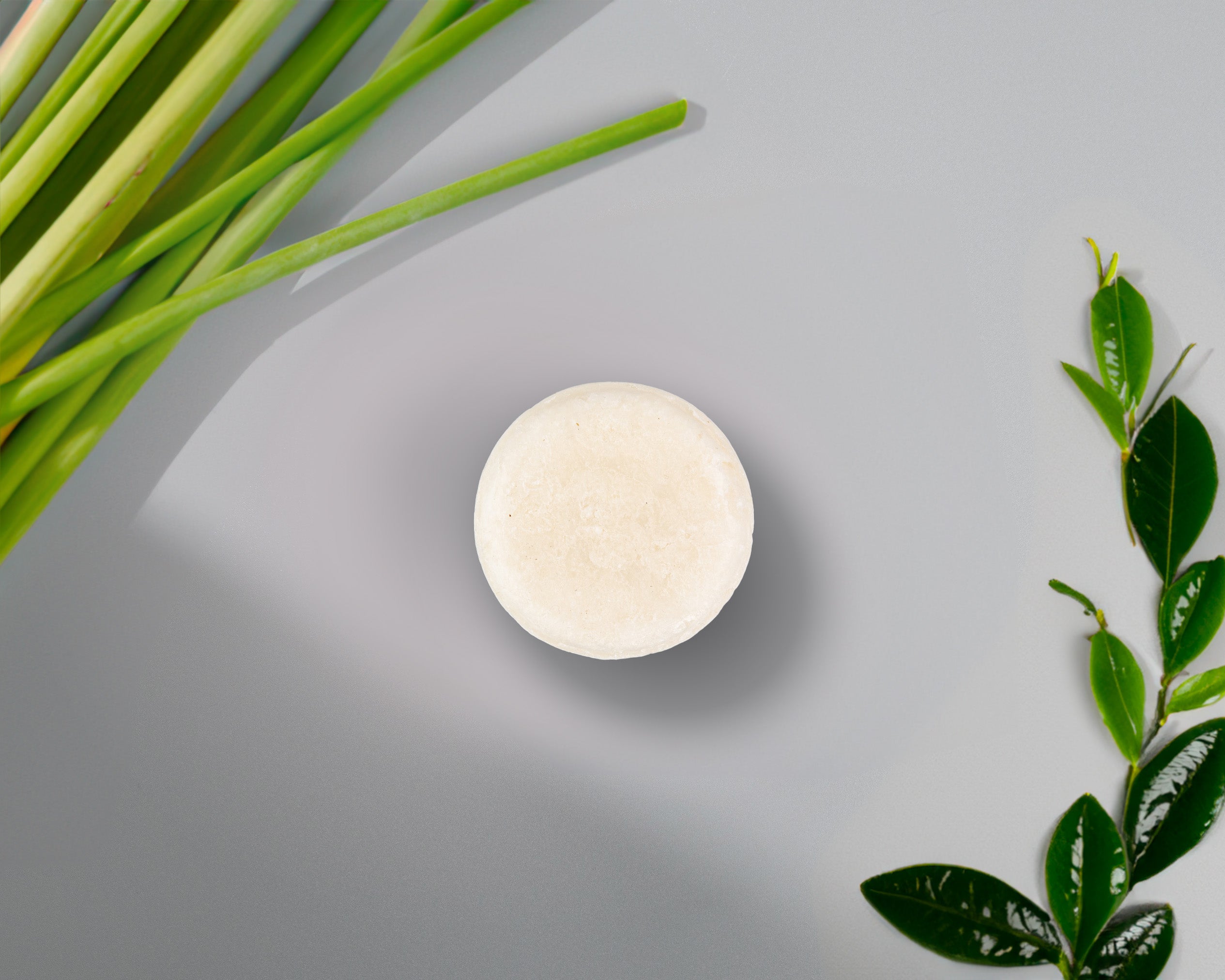 Sulfate-Free Shampoo Bar - Primal Health & Beauty